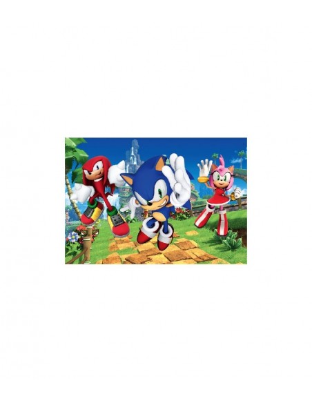 PUZZLE 104-PZAS.SONIC