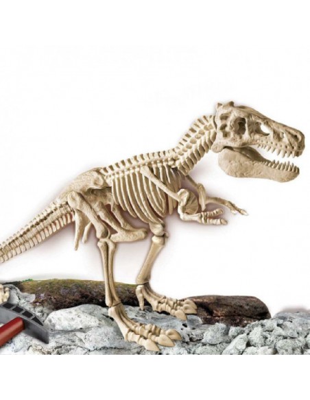 ARQUEO JUGANDO GRAN T-REX GIGANTE