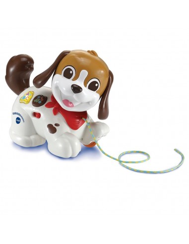PERRO INFANTIL PASEOS Y AVENTURAS