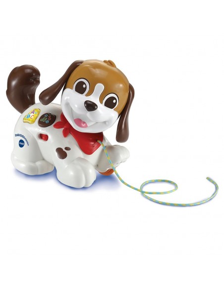 PERRO INFANTIL PASEOS Y AVENTURAS