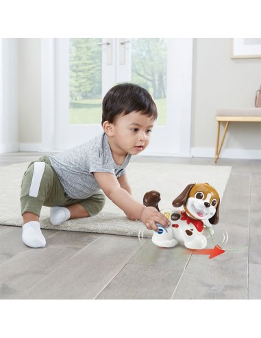 PERRO INFANTIL PASEOS Y AVENTURAS