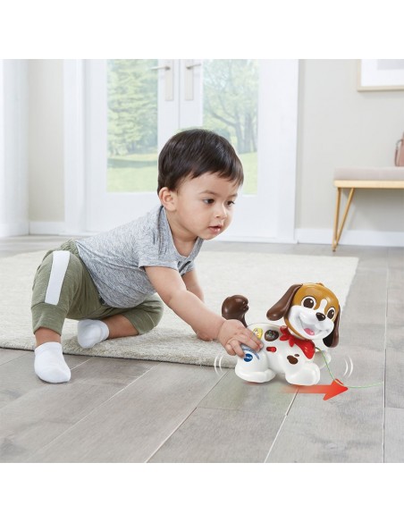 PERRO INFANTIL PASEOS Y AVENTURAS