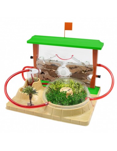 JUEGO HORMICEFA PLUS