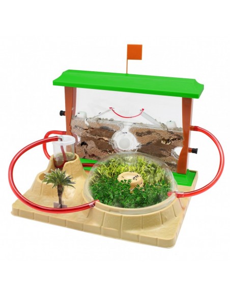 JUEGO HORMICEFA PLUS