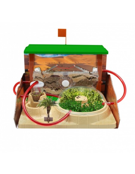 JUEGO HORMICEFA PLUS