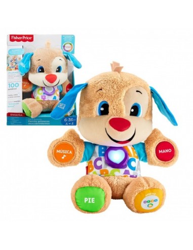 PERRITO PRIMEROS DESCUBRIMIENTOS