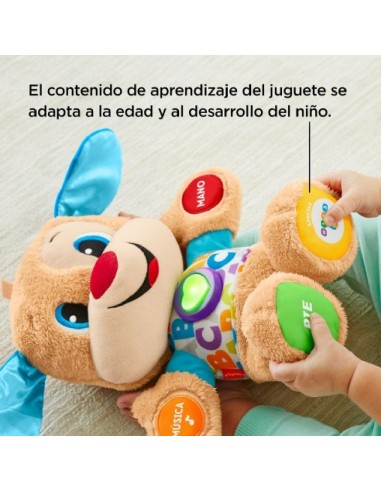 PERRITO PRIMEROS DESCUBRIMIENTOS
