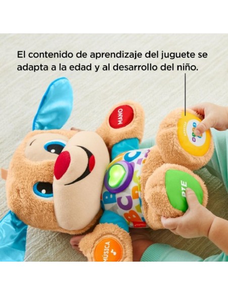 PERRITO PRIMEROS DESCUBRIMIENTOS