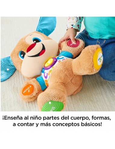 PERRITO PRIMEROS DESCUBRIMIENTOS