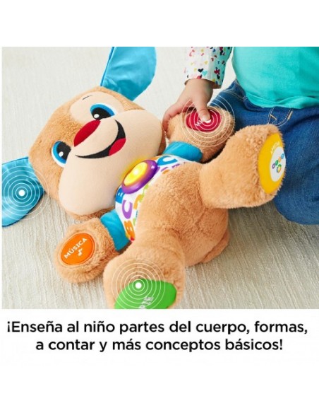 PERRITO PRIMEROS DESCUBRIMIENTOS