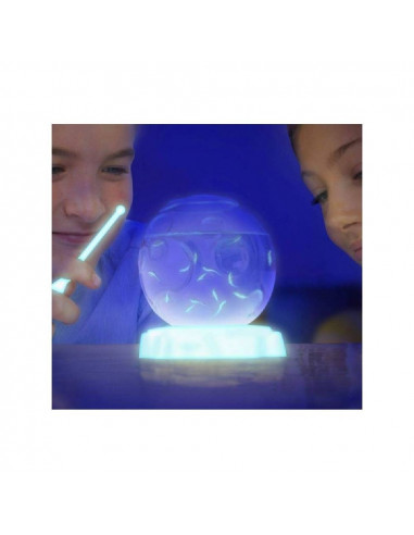 AQUA DRAGONS PETS DE LUXE