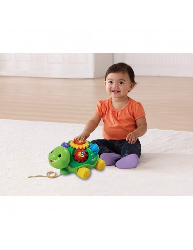 TORTUGA COLORINA INFANTIL