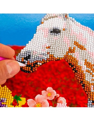 DIAMANTINY CABALLO