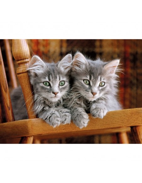 PUZZLE 500-PIEZAS GATITOS PUZZLE 500-PIEZAS GATITOS