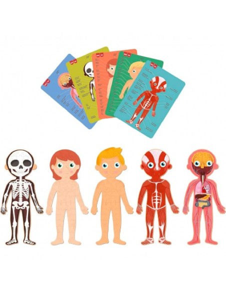 PUZZLE CUERPO HUMANO