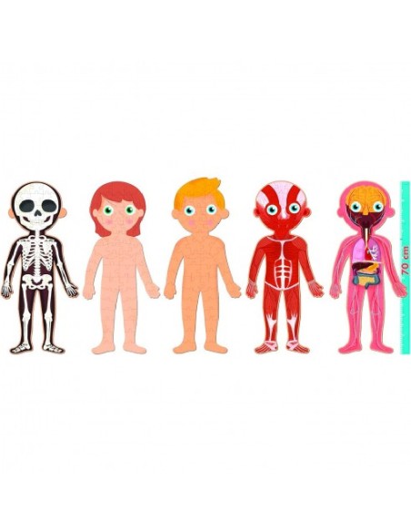PUZZLE CUERPO HUMANO