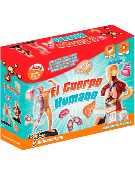 EL CUERPO HUMANO