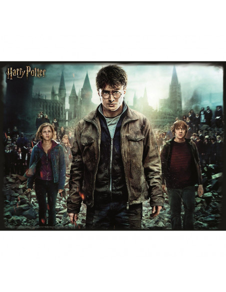 PUZZLE HARRY PPOTER 300-PZ.