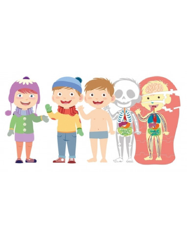 EL CUERPO HUMANO