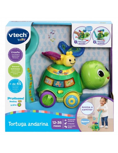 TORTUGA ANDARINA